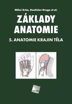 Jen Po Omezenou Doba Základy anatomie : Anatomie krajin těla - 5