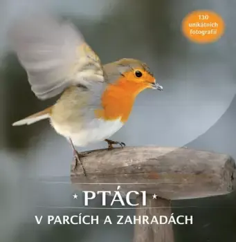 Ptáci v parcích a zahradách Přímo Od Výrobce