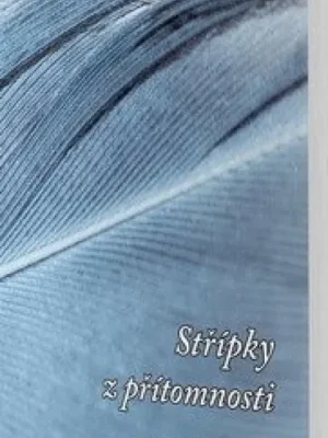 Značkový Střípky z přítomnosti